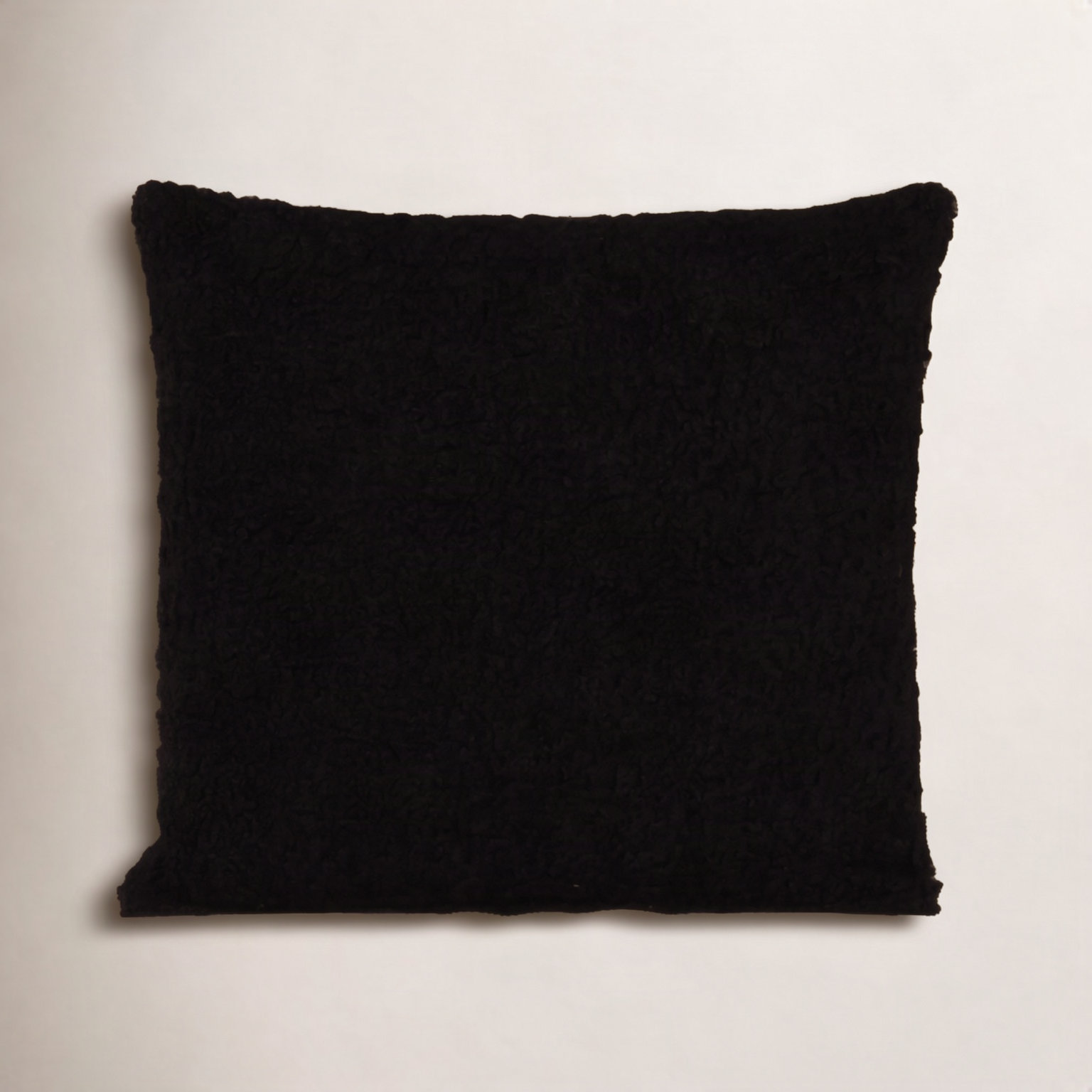 Solid Throw Pillow, Black, Square 20", Feather