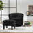 Upholstered Chair With Ottoman-743064008