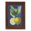 Xeden French Lemon On Navy II, reproduction d'art encadrée-1862702605-1862702598