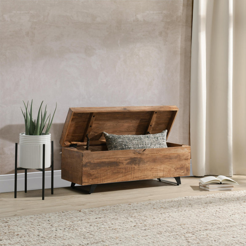 Balderas Coffee Table Trunk, Natural Brown