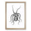An Octopus in Black & White by George Shaw - Picture Frame Painting-57844507-57844506