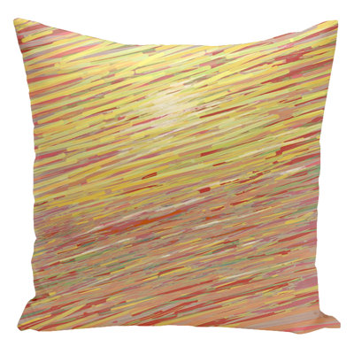  Housse de coussin carré et insert