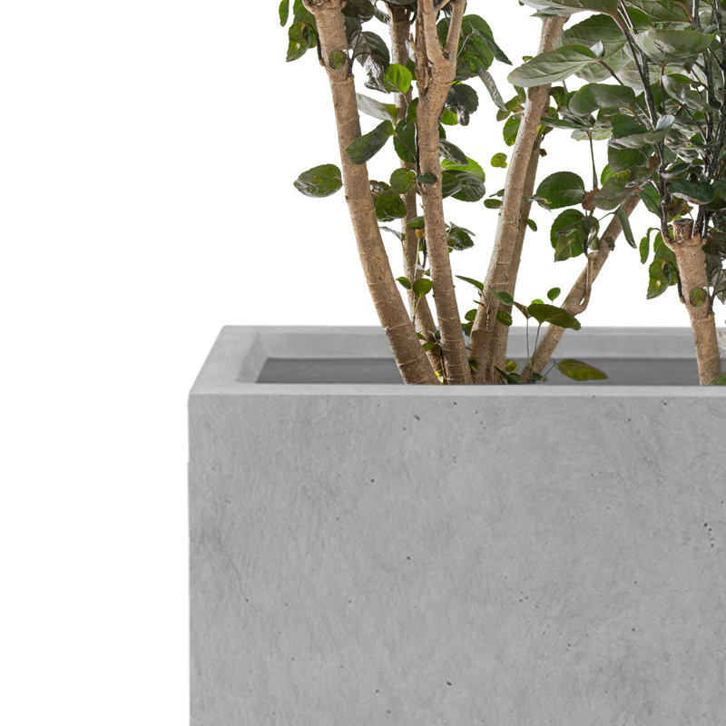 Pot à fleurs en béton, Gris neutre