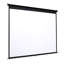 Inbox Zero Outdoor Manual Projector Screen Projector Screen-396731586