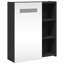 Adrianny W 52mm H Freestanding Framed Medicine Cabinet Mirror-525746883-525746880