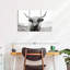 «Funny Highland Cow», reproduction d'art sur toile-1992443132