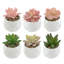 6 plantes succulentes artificielles vertes et roses