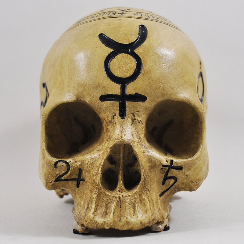Witchcraft Skull Mulli Sculpture Altar Table Décor