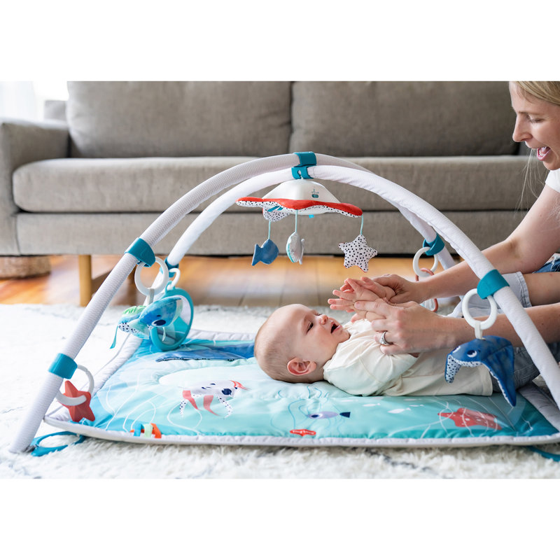 The Ocean Baby Gym