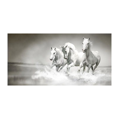 White Horses - Wrapped Canvas Print