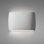 Ambiance Collection™ 2 - Light LED Outdoor Flush Mount