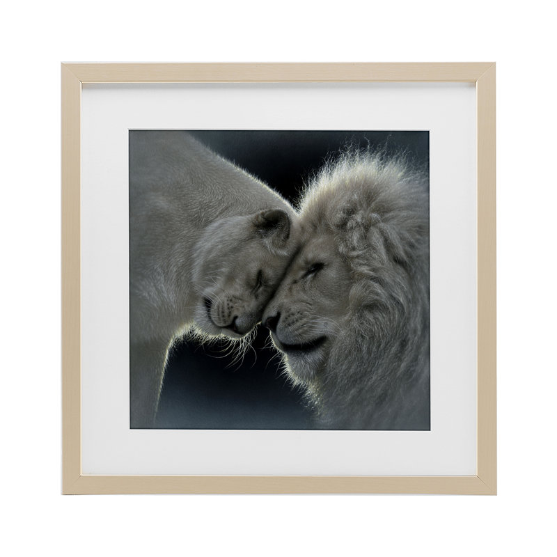 «White Lion Love», reproduction sous verre encadrée, design par Collin Bogle, Cadre de récolte en pin, H 13 po x l 13 po