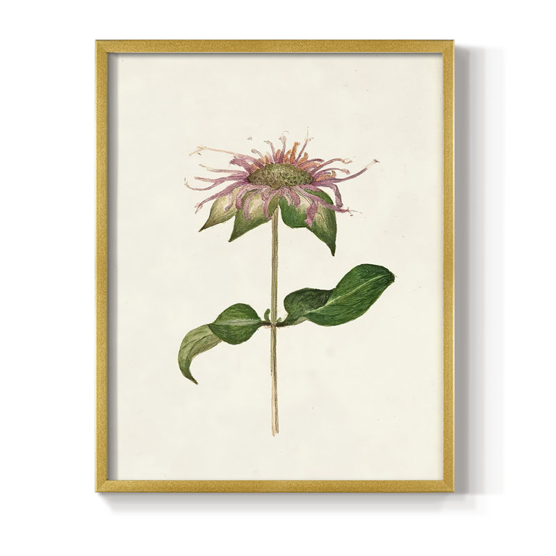 Mauve Garden Flowers V, reproduction encadrée - bois massif, H 15 po x l 12 po, Doré