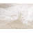 Carlosadrian Oriental Indoor Rug-1981913357