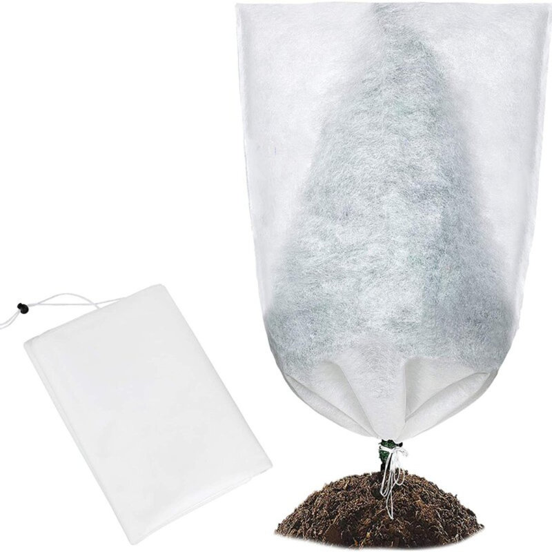Support à plante Adhiraj, H 32 po x l 32 po x P 0,25 po