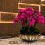 Iliad Artificial Orchid Arrangement-243798908