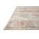 Jujhar Oriental Indoor Rug