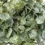 Ensemble de 2 plantes artificielles d'eucalyptus, 33 cm de hauteur, en pot, décoration de table intérieure avec pots bruns-1043385798