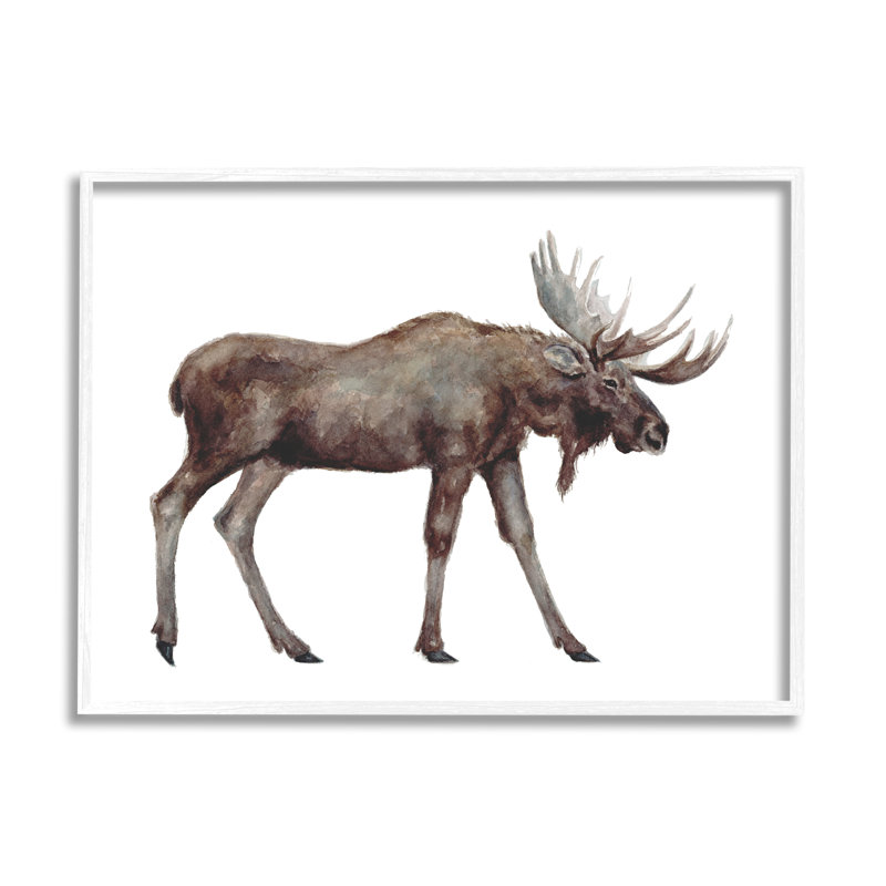 «Big Antler Moose Kids 'Wild Animal» par Fox Hollow Studios - Peinture, Bois avec cadre blanc, H 11 po x l 14 po x P 1,5 po