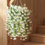 Arrangement