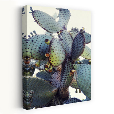 Contemporary Art Bold Abstract Cactus Plant Succulent Nature Tropical Wall Art by Angelo Cerantola - Wrapped Canvas Print