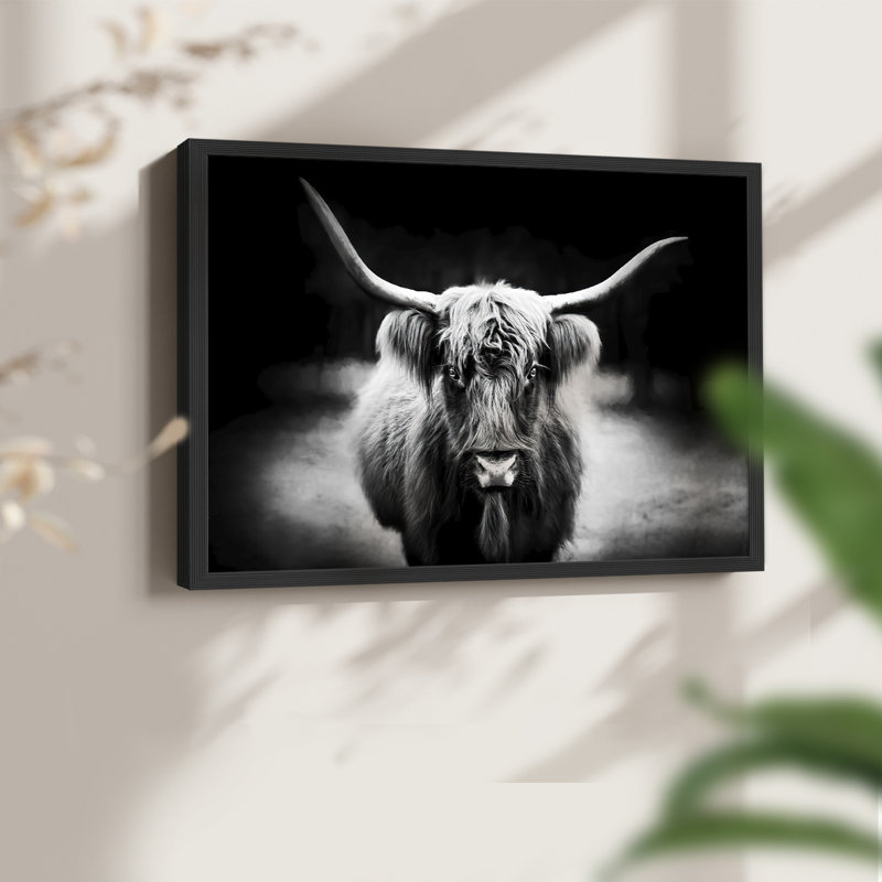 Photography Study Highland Cattle -Framed Print - Restickable