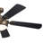 60'' Ceiling Fan with LED Lights-361292352