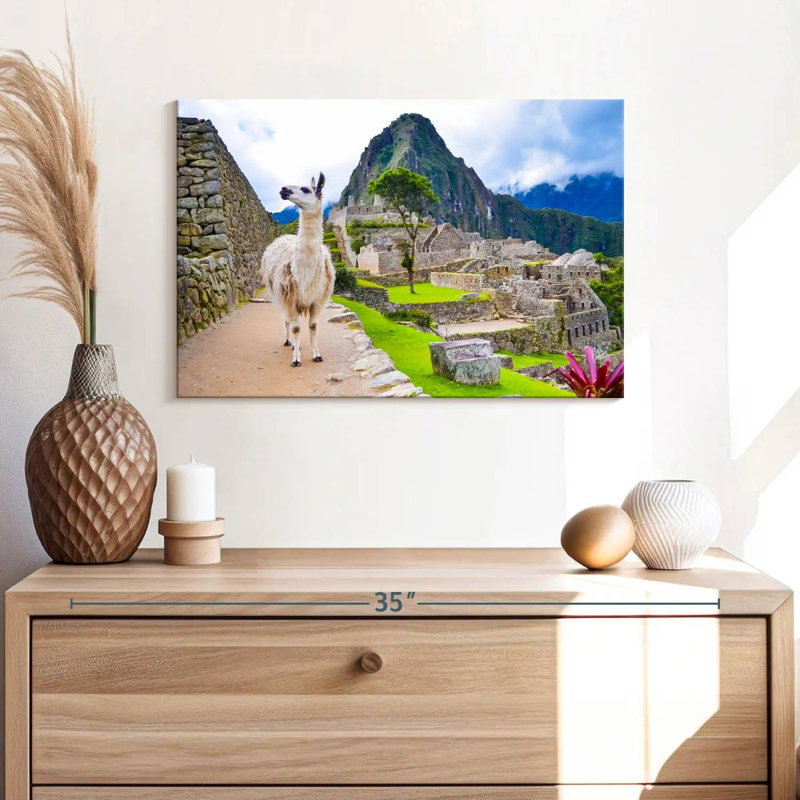 Brampt Peru Llama, 16" H x 24" W