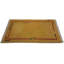 Palila Area Rug in Yellow