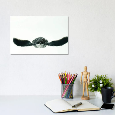 A Half-Day-Old Hatchling Leatherback Turtle From Bioko Island II by Joel Sartore - No Frame Gallery-Wrapped Canvas Giclée on Canvas