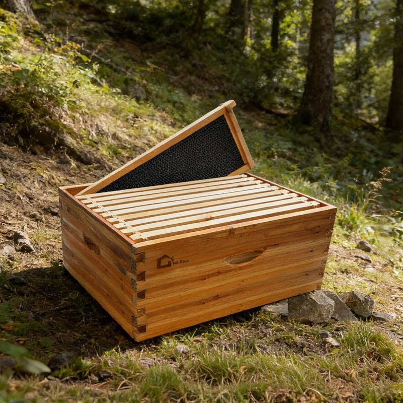 Boîte de 10 abeilles enduites de cire profonde, boîte à abeilles Langstoth Deep Brood trempée dans de la cire d'abeille à 100%