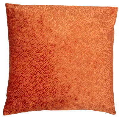 Odom Square Throw Cushion
