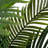 96'' Faux Palm Tree in Pot Liner