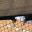 Photos des clients 4 de 4