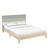 Patton Transitional 2 Piece Bedroom Set-1666976718