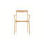 Branca Solid Arm Chair-65088334