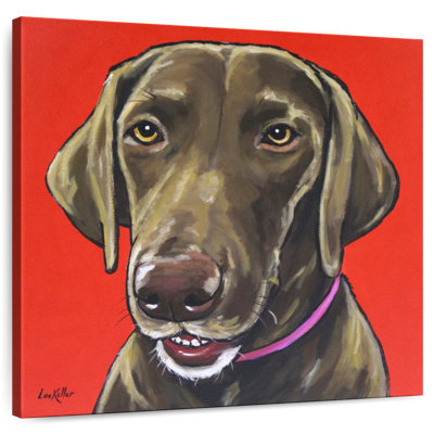 Brampt Chocolate Lab On Orange