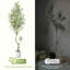 Faux olivier haut, oliviers d'intérieur Artificia avec pot de fleurs blanc-111689193-111689190