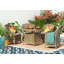 Canady Pot Planter-15753338-15753335