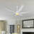 Leibman 6-Blades 66" Ceiling Fan with Remote Control and LED Light-1191864463