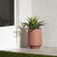 Pot à fleurs en plastique Dalya-86901334-86901338