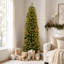 Fir Christmas Tree-1666979781