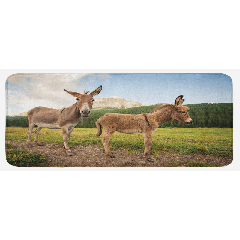 Tapis de cuisine Donkey