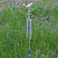 Drozd Animals Weather Resistant Metal Garden Statue