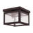 Amores Glass Flush Mount-22669971