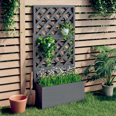 Laquaya Wood Raised Garden Bed with Trellis