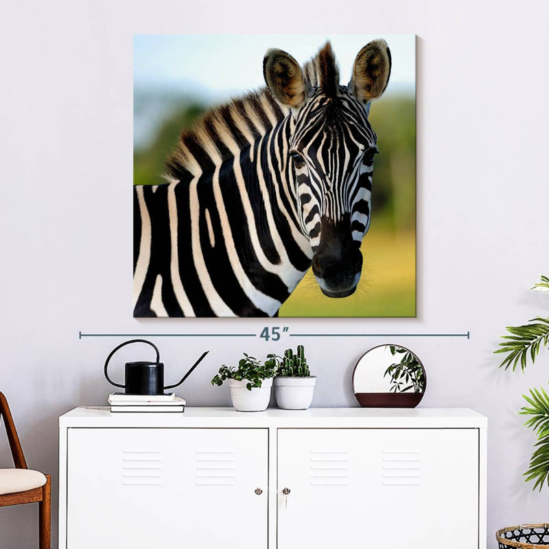 Brampt Staring Zebra, 33" H x 33" W
