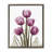 Pink X-Ray Tulips-517642467-509323323