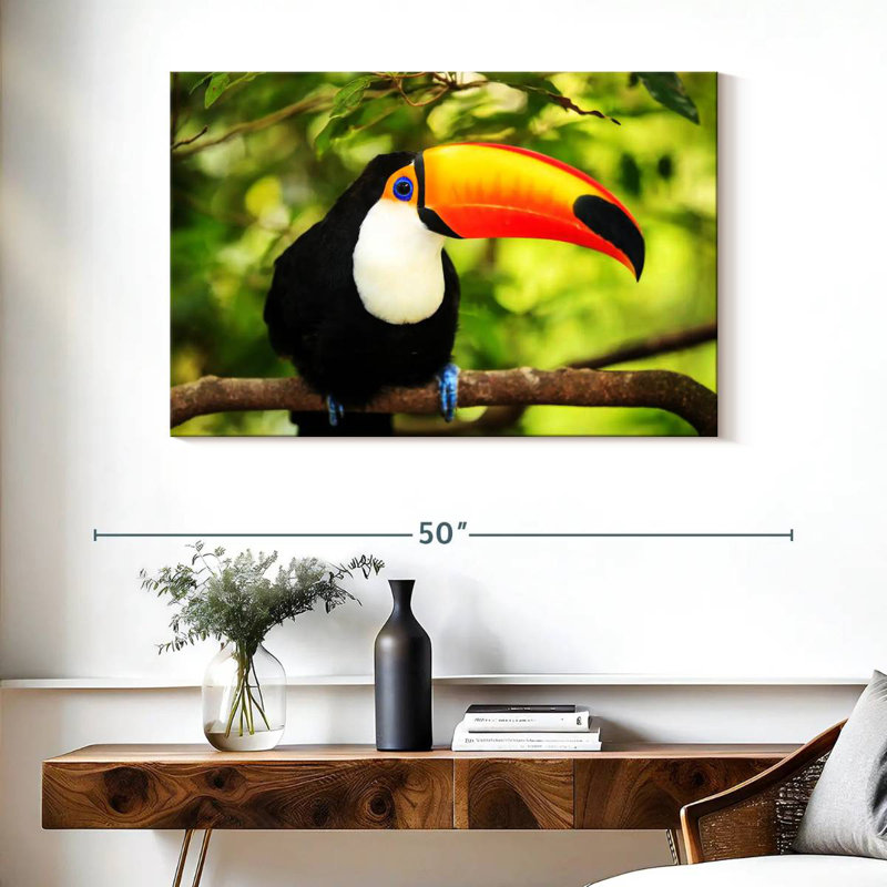 Brampt Toco Toucan