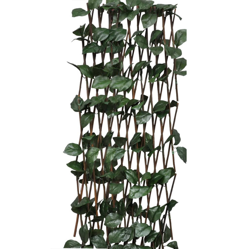 Olivian 180cm H Wood Expanding Trellis, 180cm H x 90cm W